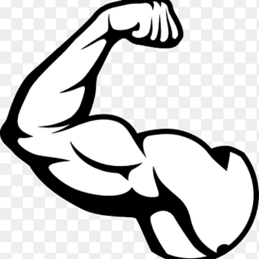 NessFit — Magazine Sport & Fitness